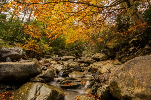Herbstliche Szenerie Den Wäldern Des Echotals Aragon Nordspanien — Stockfoto
