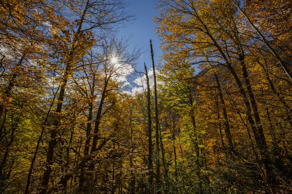 Scena Autunnale Nel Parco Nazionale Ordesa Monte Perdido Spagna — Foto Stock