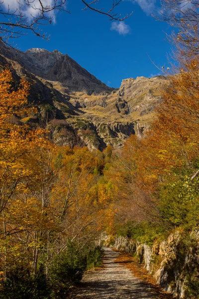 Scène Automne Ordesa Parc National Monte Perdido Espagne — Photo