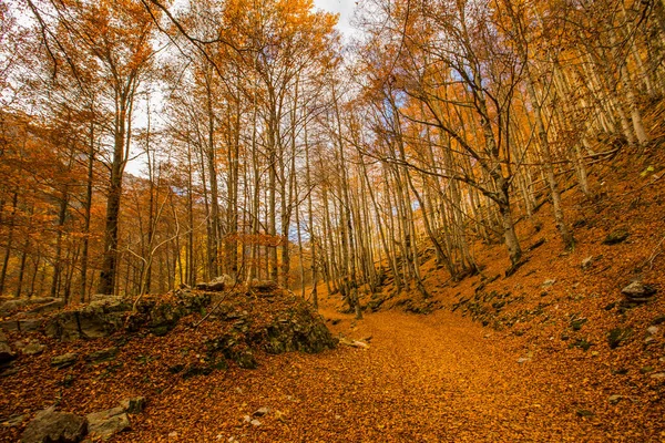 Φθινοπωρινή Σκηνή Στο Εθνικό Πάρκο Ordesa Και Monte Perdido Ισπανία — Φωτογραφία Αρχείου