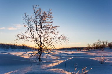 Nuorgam, Lapland, Finlandiya 'da kış günbatımı