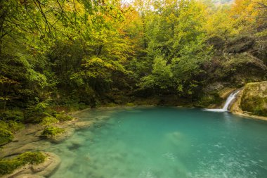 Kuzey İspanya, Navarra 'daki Nacedero de Urederra nehrinde sonbahar sahnesi