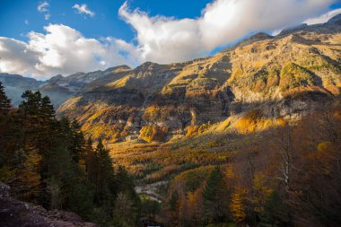 Ordesa ve Monte Perdido Ulusal Parkı 'nda sonbahar sahnesi, İspanya