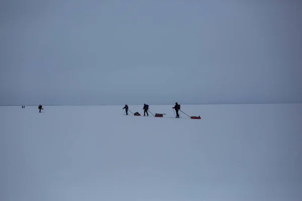Skiekspedition Inari Lake Lapland Finland - Stock-foto