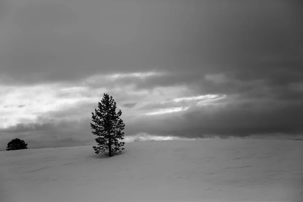 Hiver Lac Inari Laponie Finlande — Photo