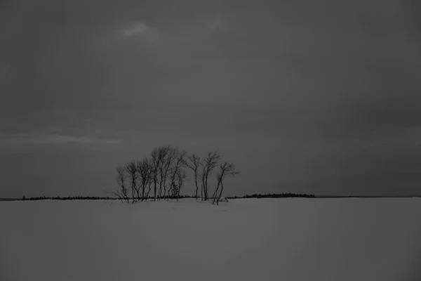 Зима Озері Інарі Лапландія Фінляндія — стокове фото