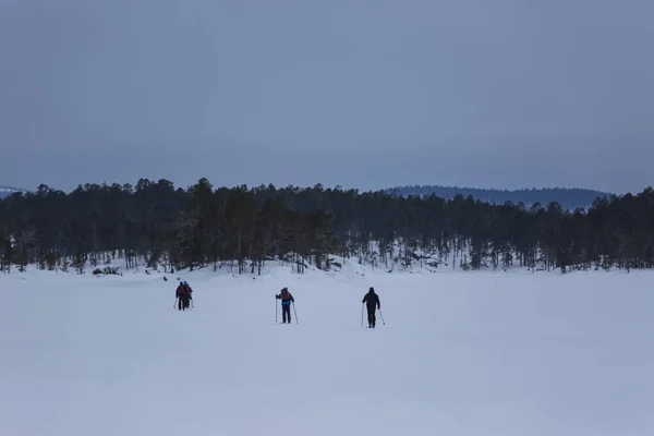 Ski Expeditie Inari Lake Lapland Finland — Stockfoto