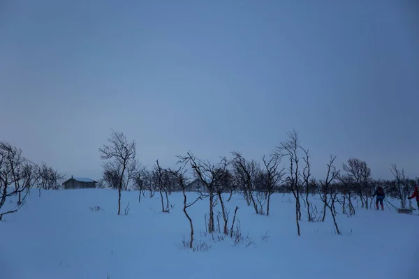 Χειμερινό Τοπίο Στο Nuorgam Λαπωνία Φινλανδία — Φωτογραφία Αρχείου