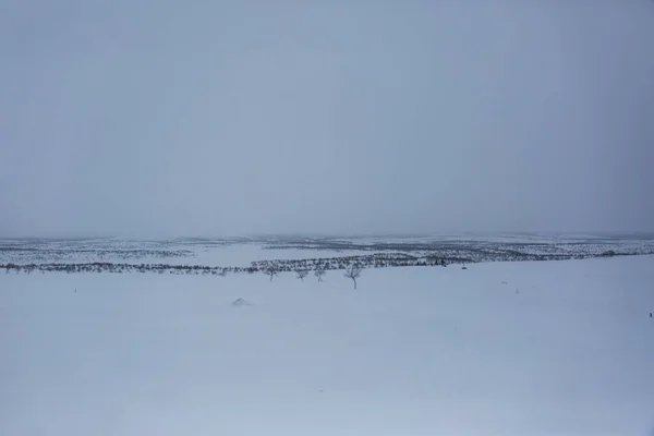 Paisagem Inverno Nuorgam Lapônia Finlândia — Fotografia de Stock