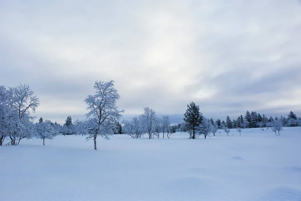 フィンランドのヌオルガムにある冬の風景 — ストック写真