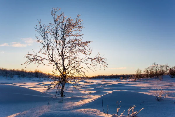 Atardecer Invierno Nuorgam Laponia Finlandia —  Fotos de Stock