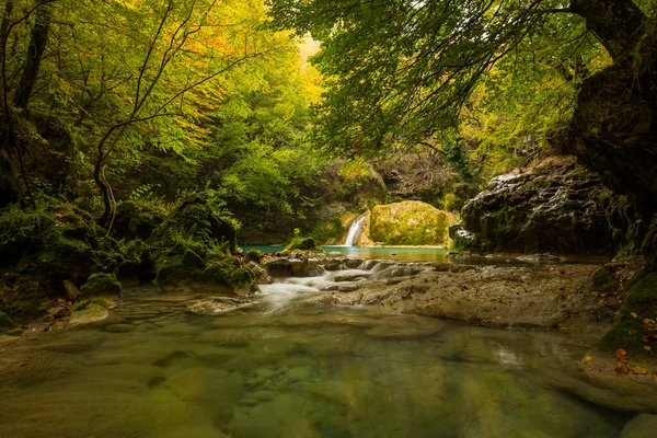 Kuzey Spanya Navarra Daki Nacedero Urederra Nehrinde Sonbahar Sahnesi — Stok fotoğraf