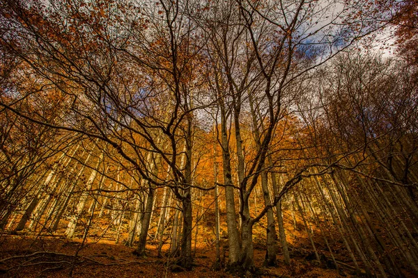 Cena Outono Parque Nacional Ordesa Monte Perdido Espanha — Fotografia de Stock