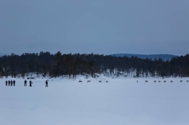 Inari Gölü, Laponya, Finlandiya 'da kayak gezisi