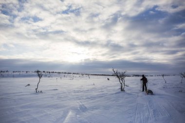 Nuorgam, Laponya, Finlandiya 'da kayak gezisi