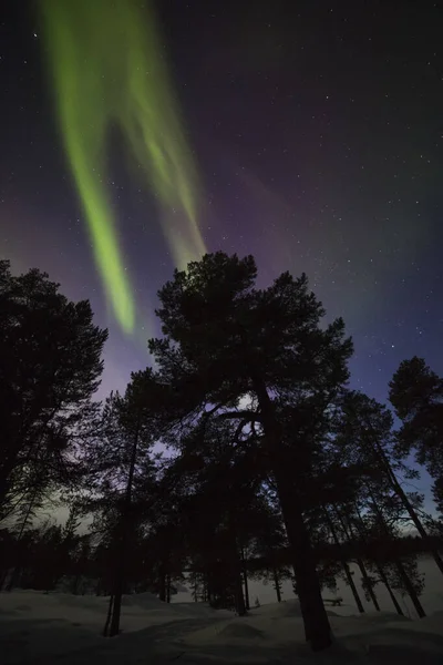 Aurores Boréales Dans Inari Lake Laponie Finlande — Photo