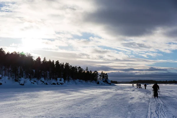 Лыжная Экспедиция Озере Инари Лапландия Финляндия — стоковое фото