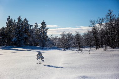 Nuorgam, Laponya, Finlandiya 'da kış manzarası