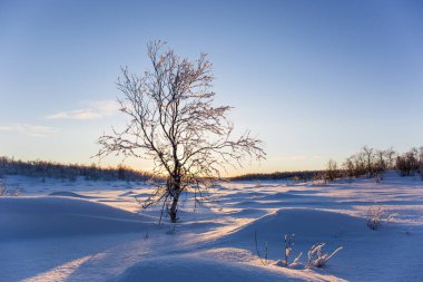 Nuorgam, Lapland, Finlandiya 'da kış günbatımı