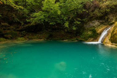 Kuzey İspanya, Navarra 'daki Nacedero de Urederra nehrinde sonbahar sahnesi