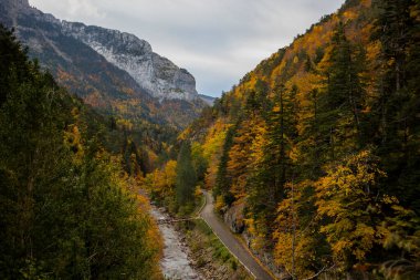 Kuzey İspanya, Aragon 'daki Echo Vadisi ormanlarında sonbahar sahnesi