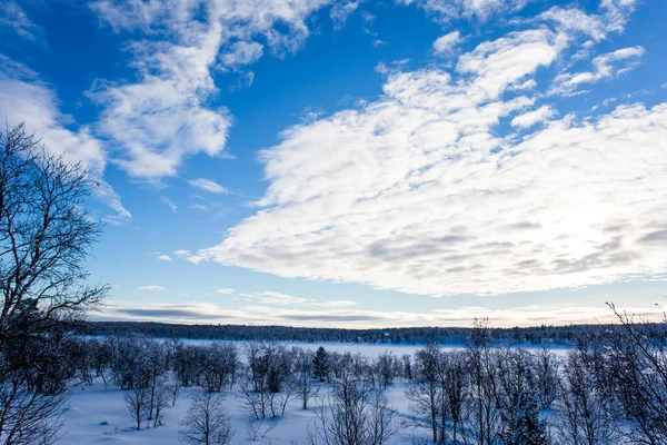 Paisaje Invernal Nuorgam Laponia Finlandia —  Fotos de Stock