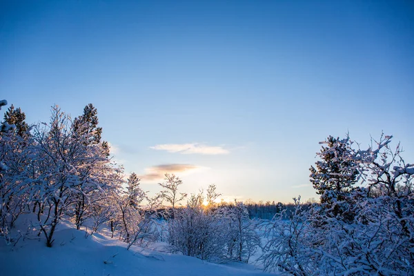 Paisaje Invernal Nuorgam Laponia Finlandia —  Fotos de Stock