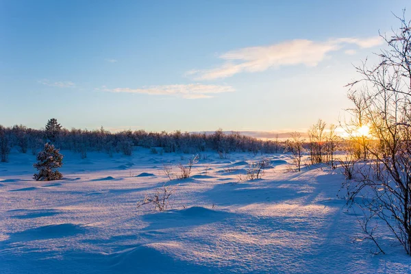 Atardecer Invierno Nuorgam Laponia Finlandia —  Fotos de Stock