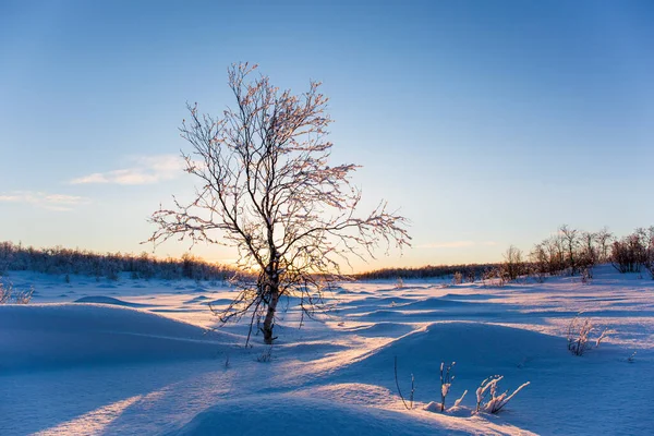 Atardecer Invierno Nuorgam Laponia Finlandia —  Fotos de Stock