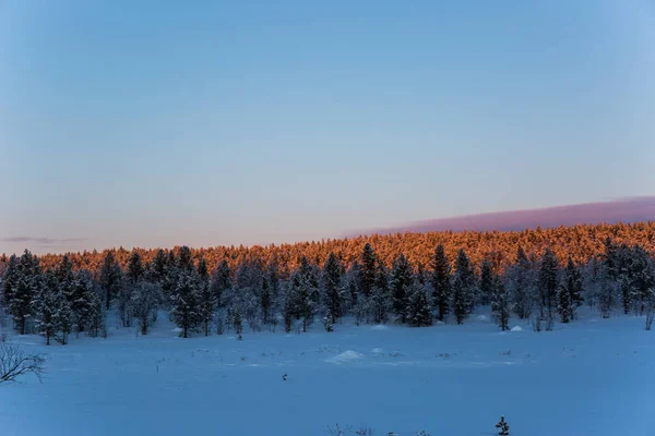 Coucher Soleil Hiver Nuorgam Laponie Finlande — Photo
