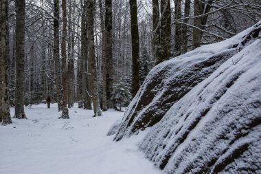 Ordesa ve Monte Perdido Ulusal Parkı, Pireneler, İspanya