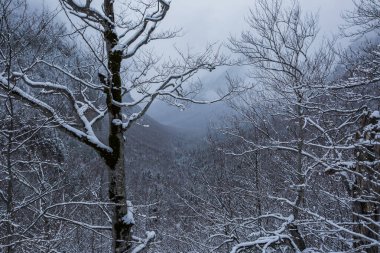Ordesa ve Monte Perdido Ulusal Parkı, Pireneler, İspanya