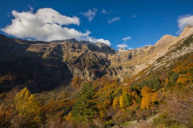 Ordesa ve Monte Perdido Ulusal Parkı 'nda sonbahar sahnesi, İspanya