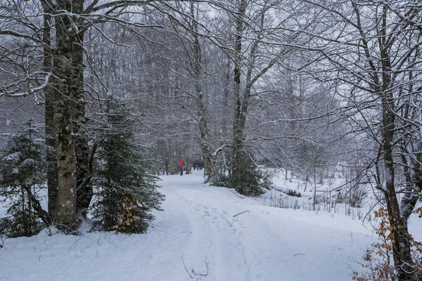 Ordesa ve Monte Perdido Ulusal Parkı, Pireneler, İspanya