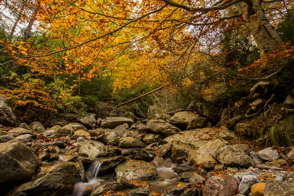 Herbstliche Szenerie Den Wäldern Des Echotals Aragon Nordspanien — Stockfoto