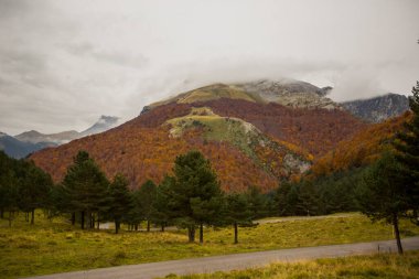 Kuzey İspanya, Aragon 'daki Echo Vadisi ormanlarında sonbahar sahnesi