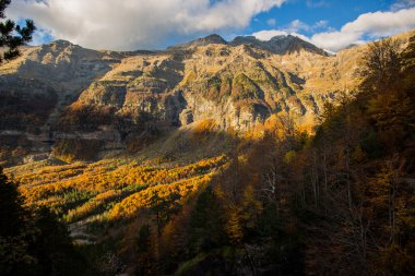 Ordesa ve Monte Perdido Ulusal Parkı 'nda sonbahar sahnesi, İspanya