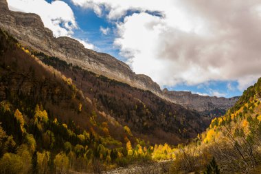Ordesa ve Monte Perdido Ulusal Parkı 'nda sonbahar sahnesi, İspanya