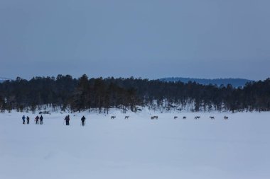 Inari Gölü, Laponya, Finlandiya 'da kayak gezisi