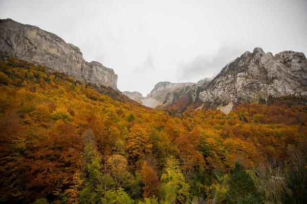 Сцена Осені Лісах Долини Ехо Арагон Північна Іспанія — стокове фото