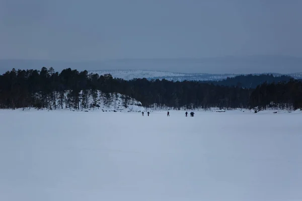 Expédition Ski Lac Inari Laponie Finlande — Photo