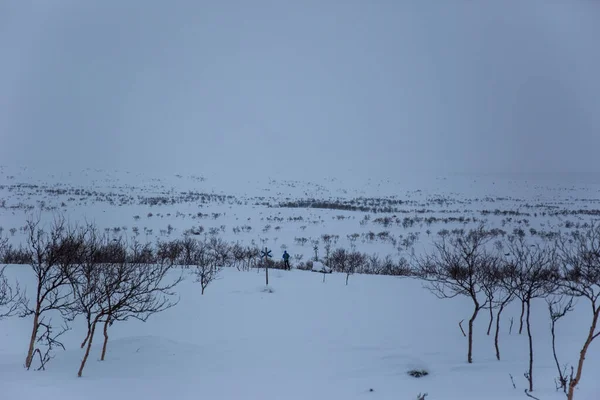 Paisagem Inverno Nuorgam Lapônia Finlândia — Fotografia de Stock