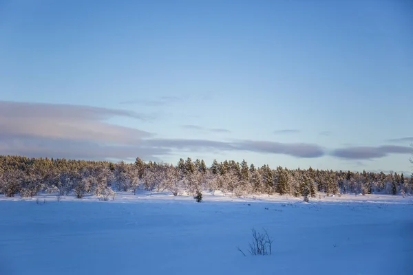 Paisaje Invernal Nuorgam Laponia Finlandia —  Fotos de Stock