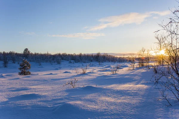 Tramonto Invernale Nuorgam Lapponia Finlandia — Foto Stock