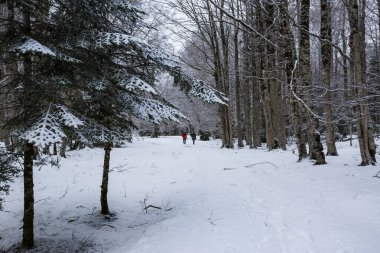 Ordesa ve Monte Perdido Ulusal Parkı, Pireneler, İspanya
