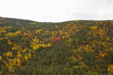 Ordesa ve Monte Perdido Ulusal Parkı 'nda sonbahar sahnesi, İspanya