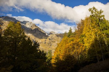 Ordesa ve Monte Perdido Ulusal Parkı 'nda sonbahar sahnesi, İspanya