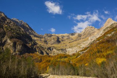 Ordesa ve Monte Perdido Ulusal Parkı 'nda sonbahar sahnesi, İspanya
