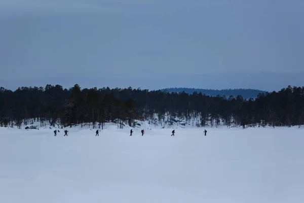 Expédition Ski Lac Inari Laponie Finlande — Photo