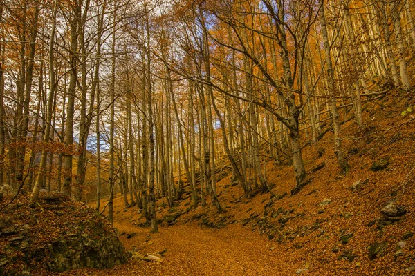 Φθινοπωρινή Σκηνή Στο Εθνικό Πάρκο Ordesa Και Monte Perdido Ισπανία — Φωτογραφία Αρχείου